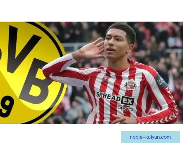 贝林厄姆转会费总和